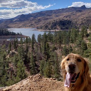 Meet your Posher, Posh